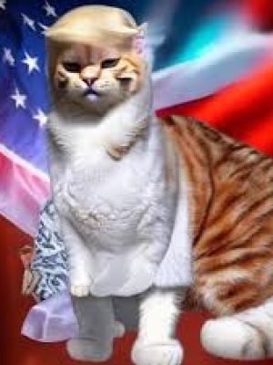 cat trump